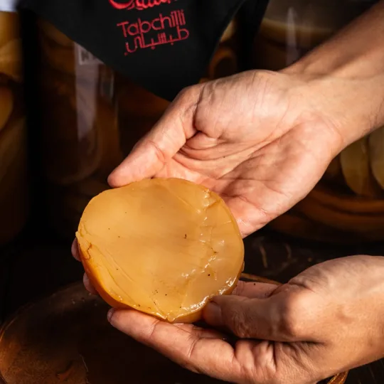 Kombucha Cultures SCOBY